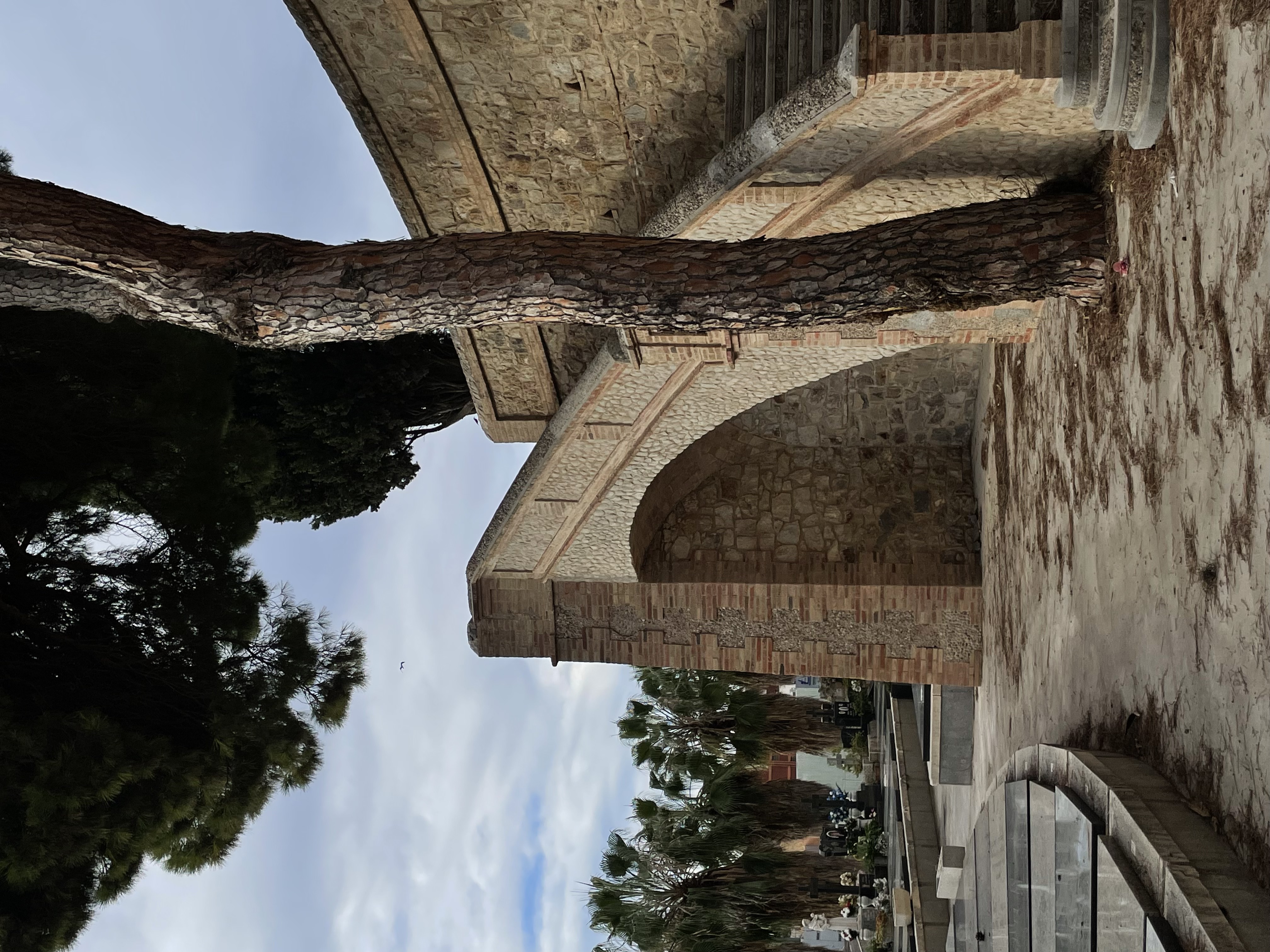 an arched staircase behind a pine tree on the right. on the left graves. in the background palm trees, more graves, and the sky.
